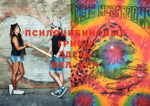 амф Артём