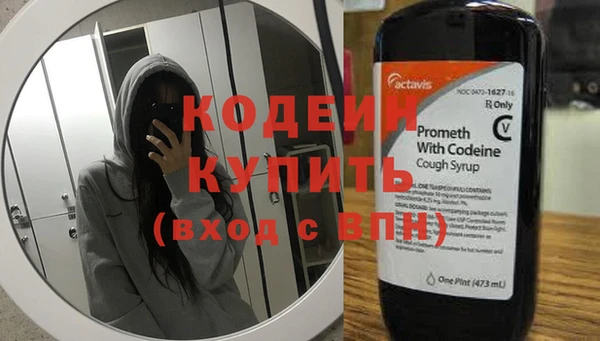 прущие грибы Ачинск