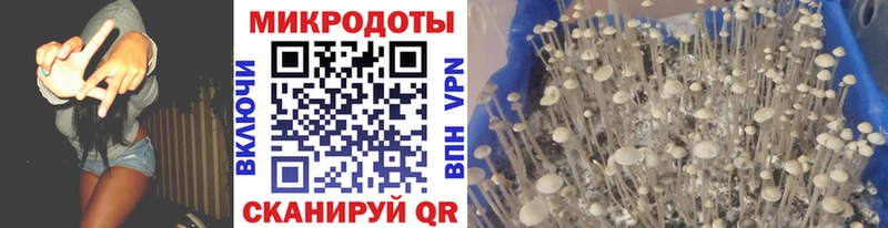 Галлюциногенные грибы мухоморы  даркнет сайт  Барыш 